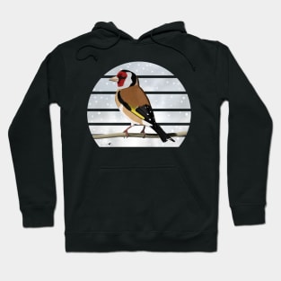 Goldfinch Winter Snow Bird Watching Birding Ornithologist Gift Hoodie